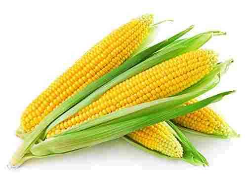 Sweet Corn